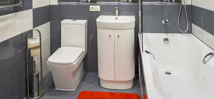 Hansgrohe Shaving Mirror Monterey